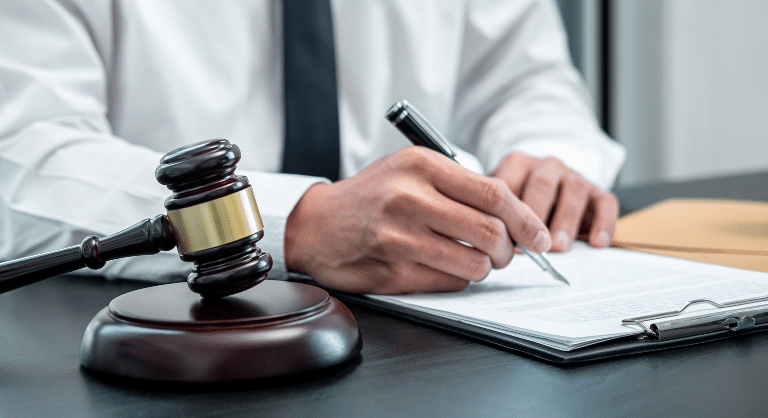 litigation support services